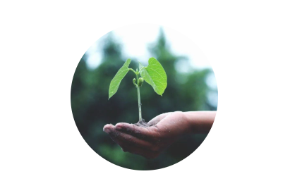 520·健康植保日丨擁抱綠色農(nóng)業(yè),暢享健康生活