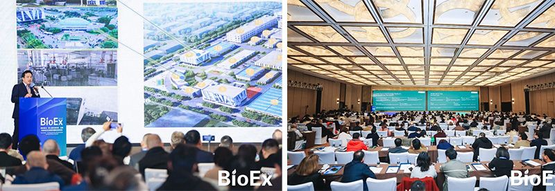 新朝陽亮相BioEx 2026:技術供給+屬地化協同,推動高性能生物刺激素高效落地