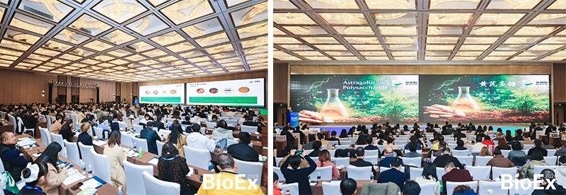 新朝陽亮相BioEx 2026:技術供給+屬地化協同,推動高性能生物刺激素高效落地