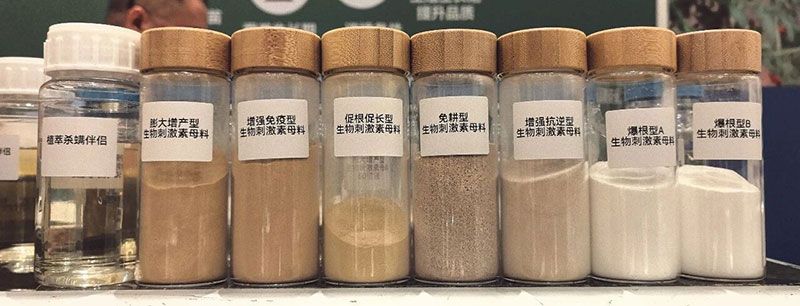 新朝陽亮相ABS 2026：聚焦生物刺激劑創新，助力農業綠色轉型