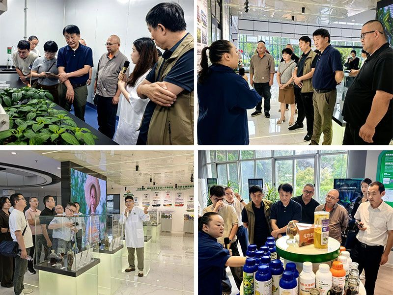 聚勢賦能增效 共啟產業新篇｜四十余家行業企業走進成都新朝陽開展技術觀摩交流